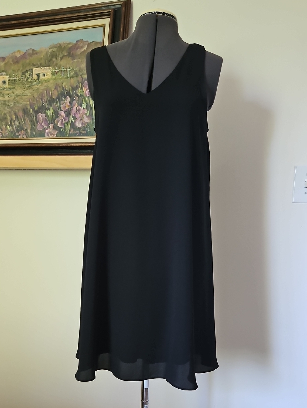 Pinkblush Black Sleeveless V-Neck Shift Dress